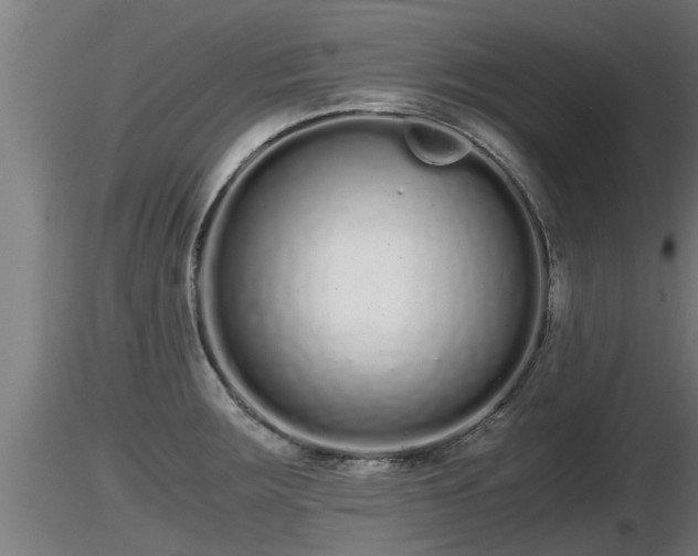 X0000116761283200912241135