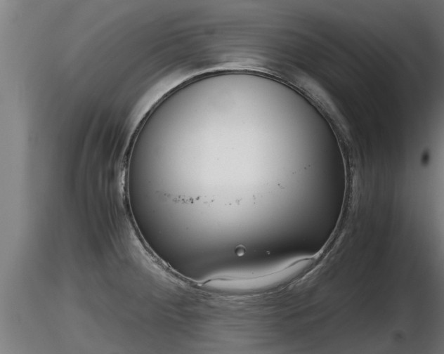 X0000116761284200912241135