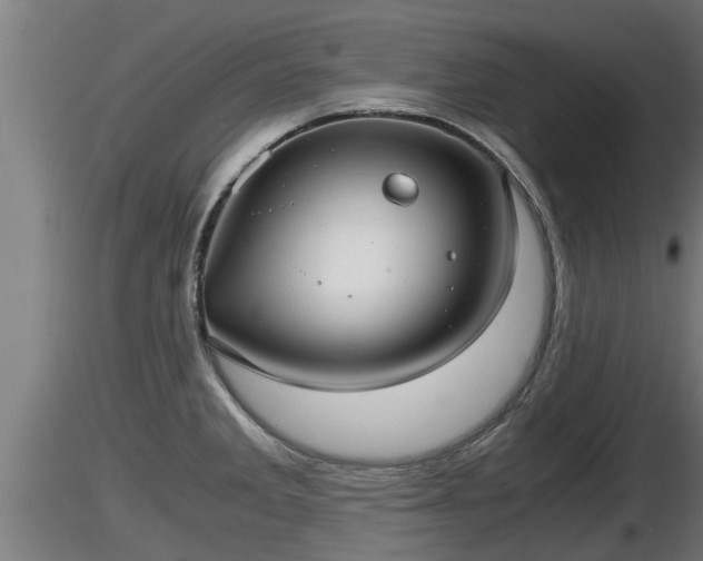 X0000116761285200912241135
