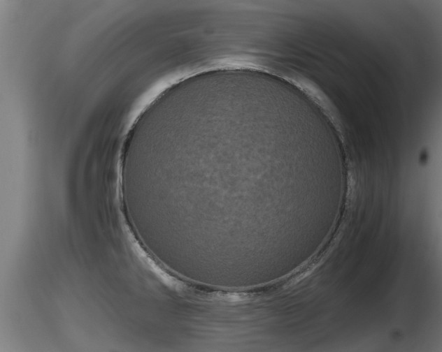 X0000116761286200912241135
