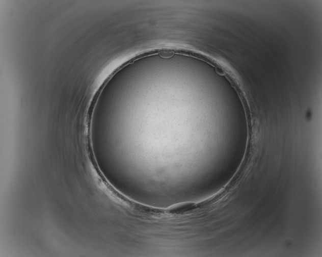 X0000116761287200912241135