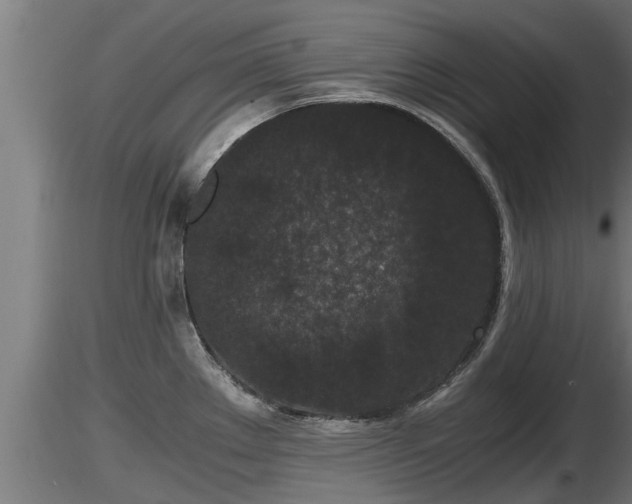 X0000116761289200912241135