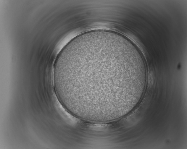 X0000116761290200912241135