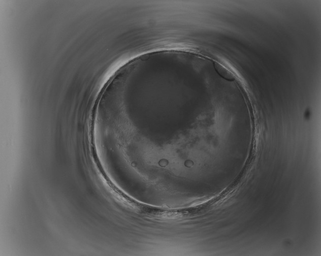 X0000116761291200912241134