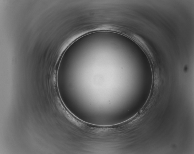 X0000116761292200912241134