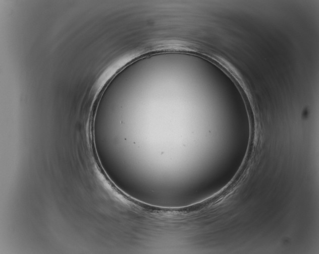 X0000116761293200912241134
