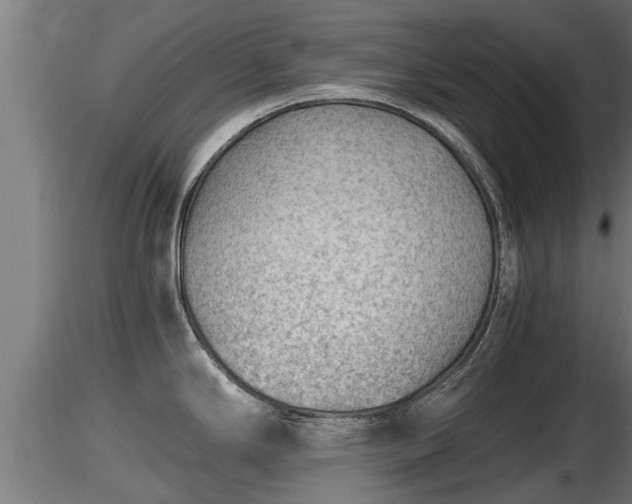 X0000116761294200912241134