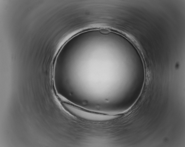 X0000116761295200912241134