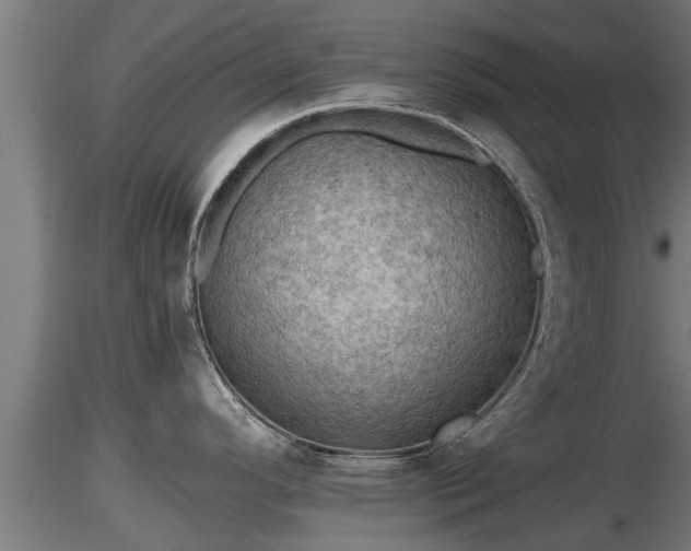 X0000116761296200912241134