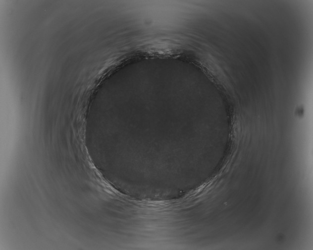 X0000116761297200912241134