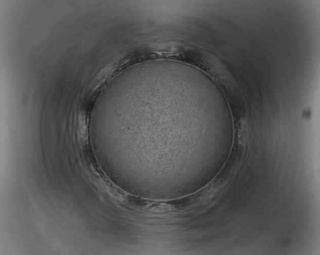 X0000116761298200912241134