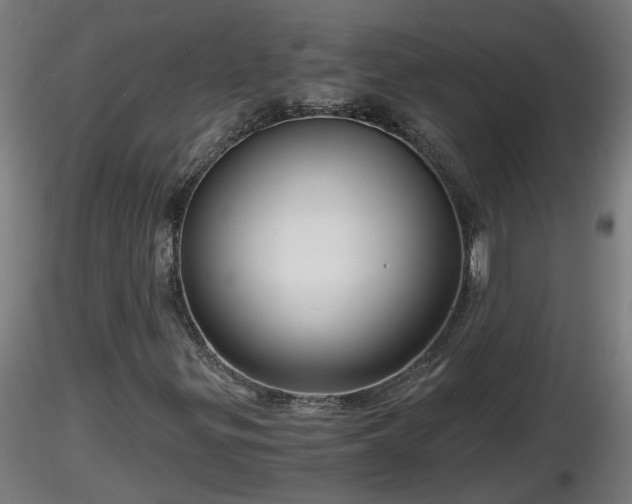 X0000116761299200912241134