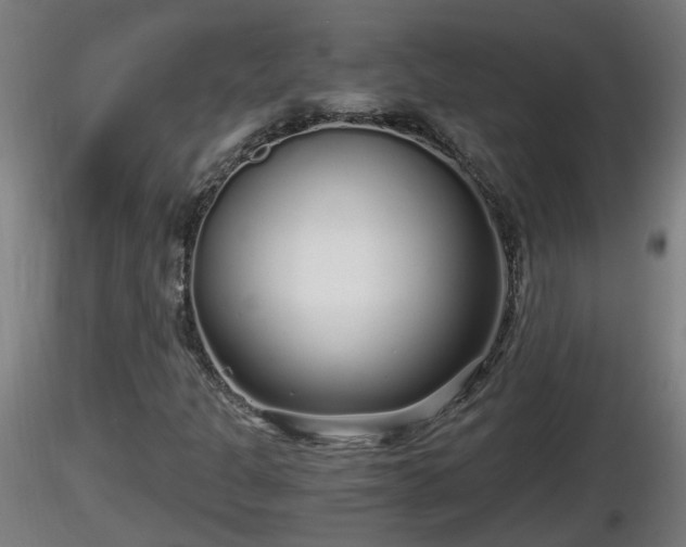 X0000116761301200912241134