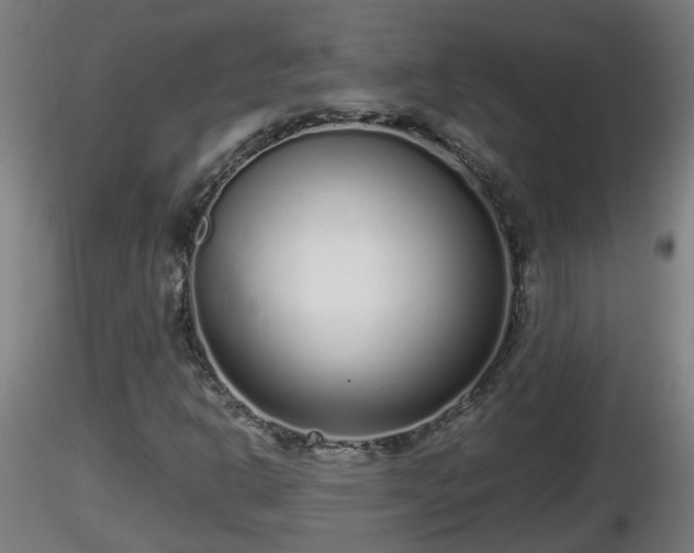 X0000116761302200912241134
