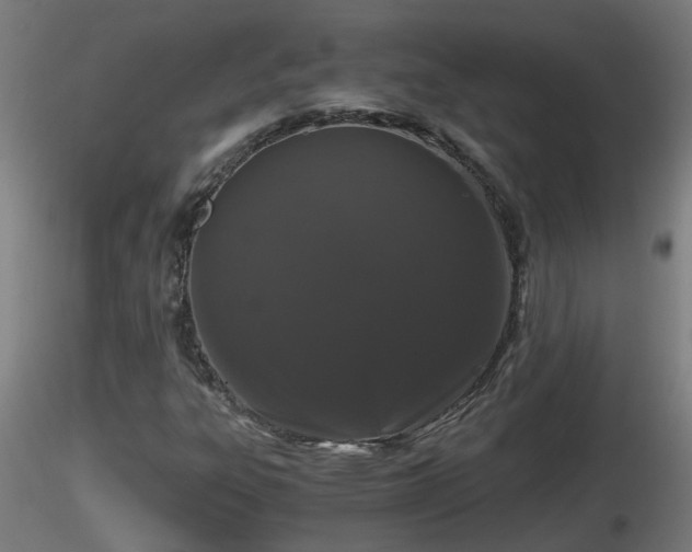 X0000116761303200912241134