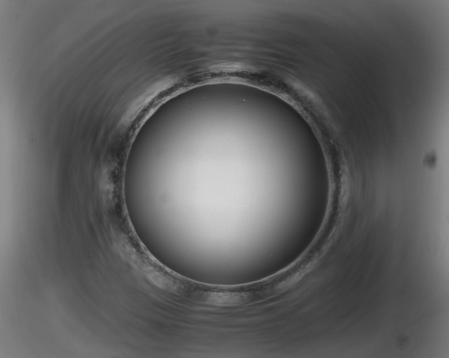 X0000116761305200912241134