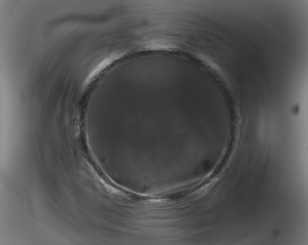 X0000116761306200912241134