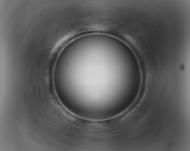 X0000116761307200912241134