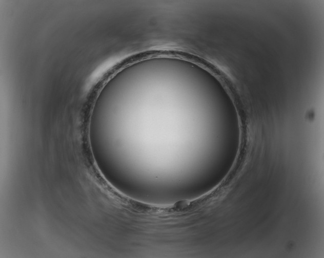 X0000116761311200912241134