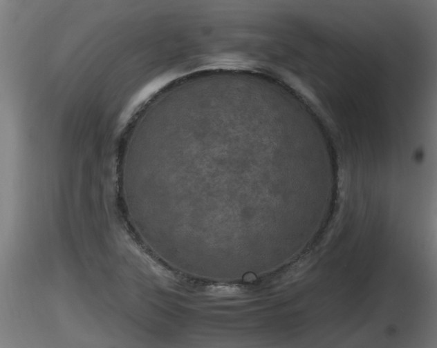 X0000116761315200912241134