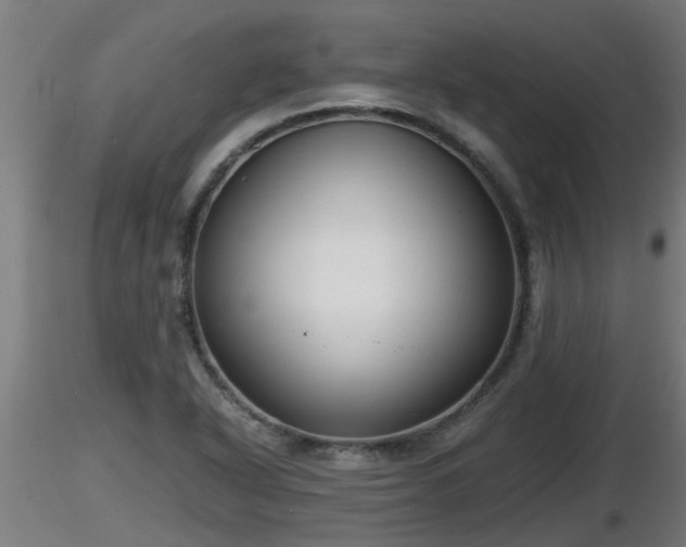 X0000116761318200912241134
