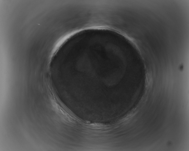 X0000116761319200912241134