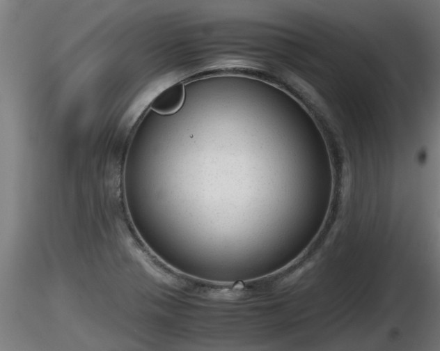 X0000116761321200912241134