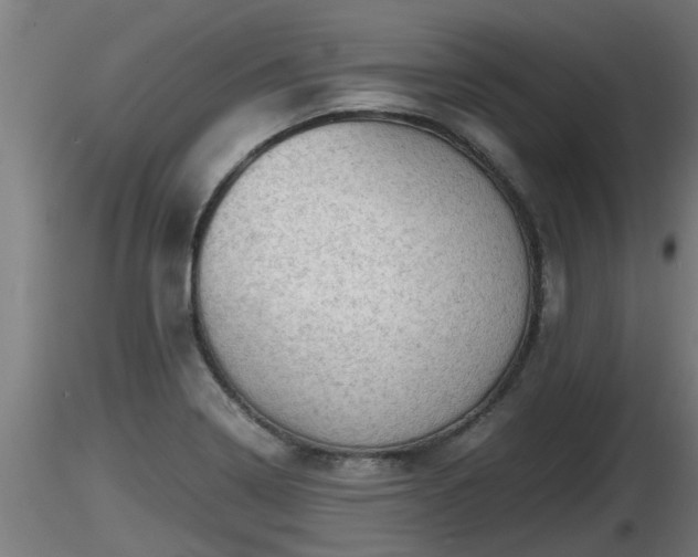 X0000116761322200912241134