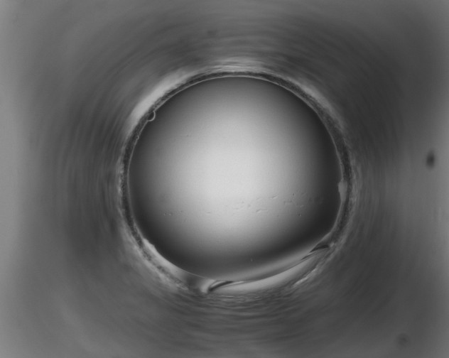 X0000116761325200912241134