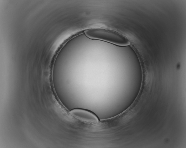 X0000116761326200912241134
