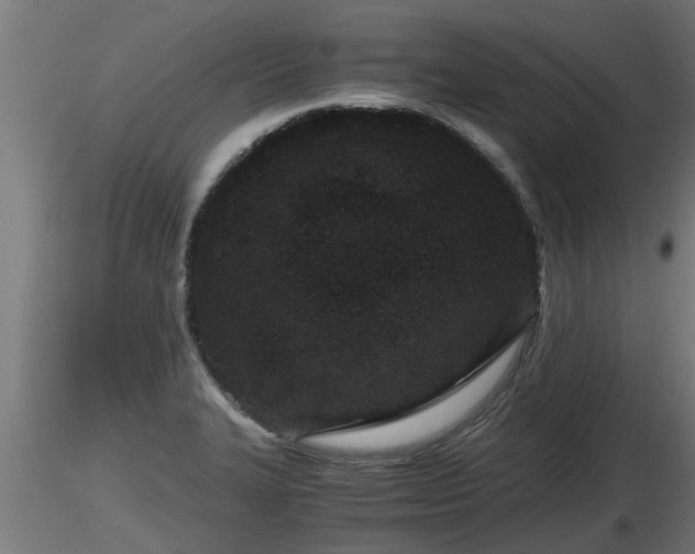 X0000116761327200912241134
