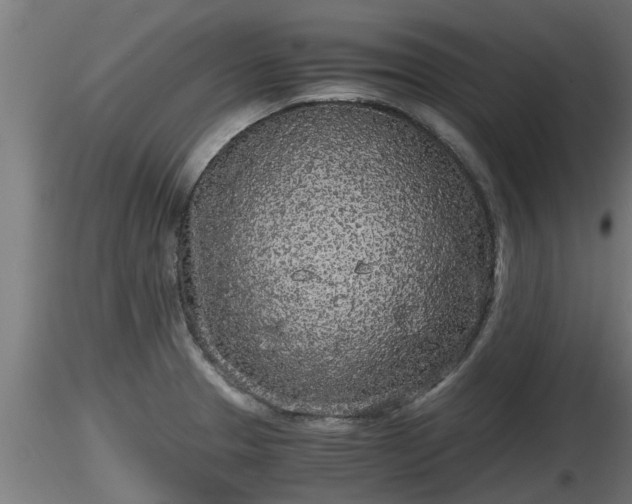 X0000116761329200912241134