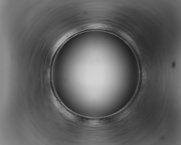 X0000116761330200912241134