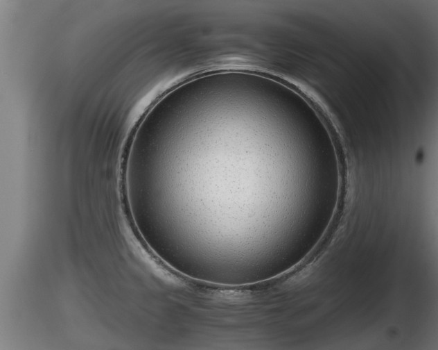 X0000116761333200912241134