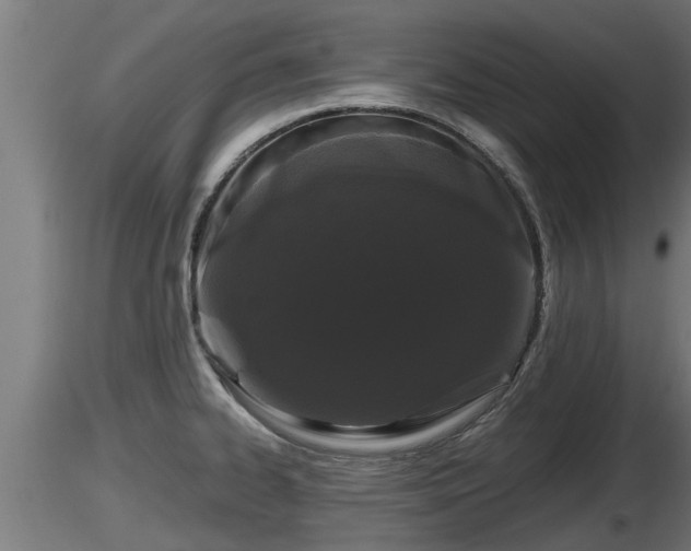 X0000116761334200912241134