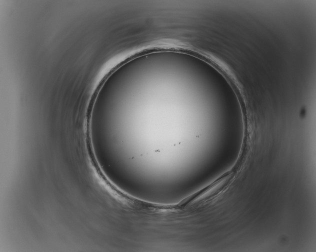 X0000116761335200912241134
