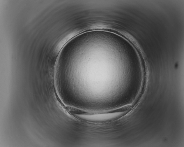 X0000116761337200912241134