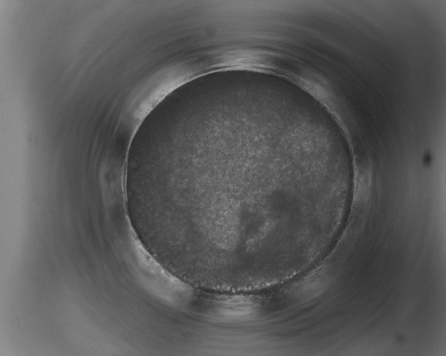 X0000116761338200912241134