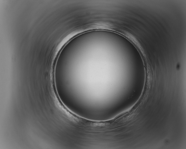 X0000116761339200912241134