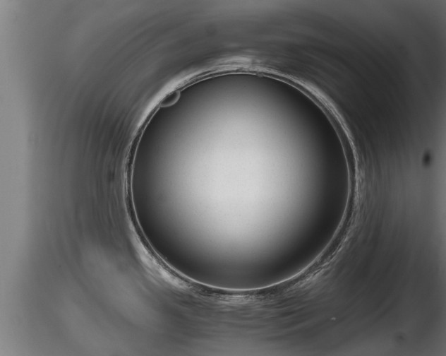 X0000116761341200912241134
