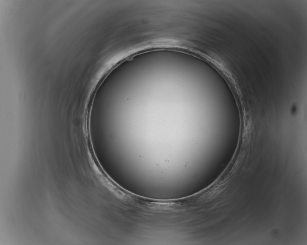 X0000116761342200912241134