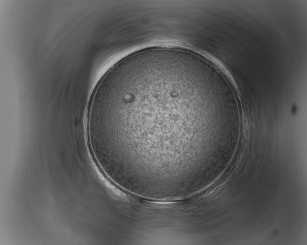 X0000116761343200912241134