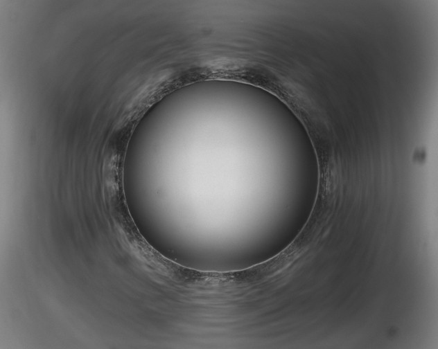 X0000116761346200912241134