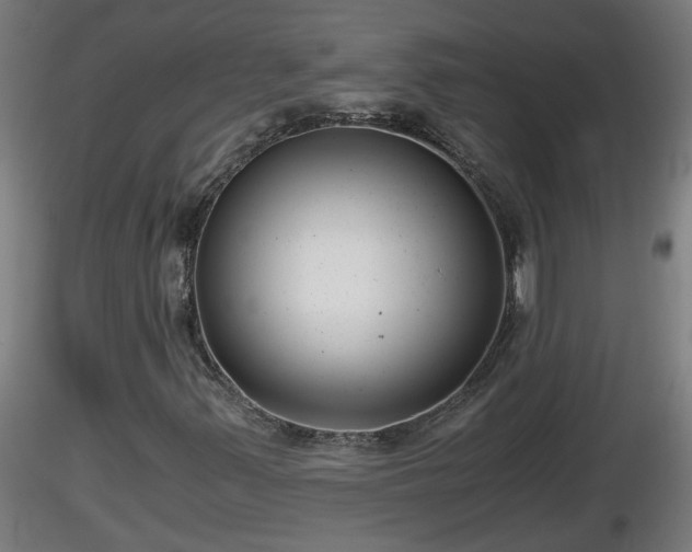 X0000116761347200912241134