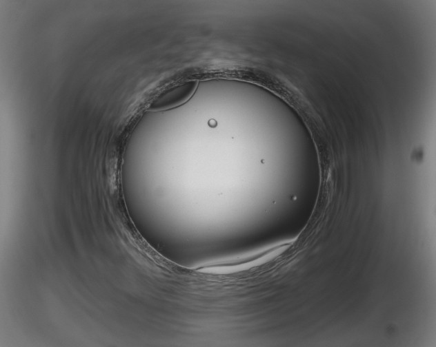 X0000116761348200912241134