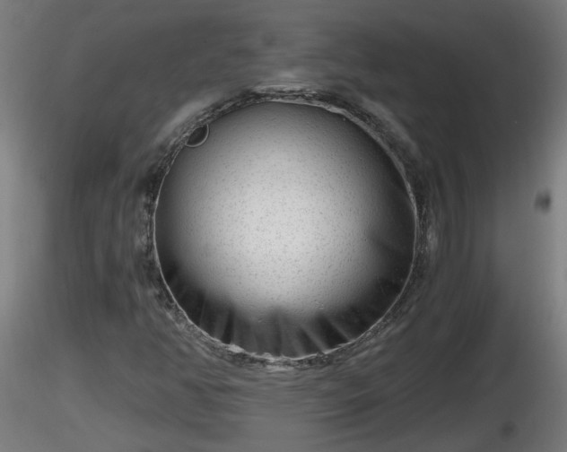 X0000116761350200912241134