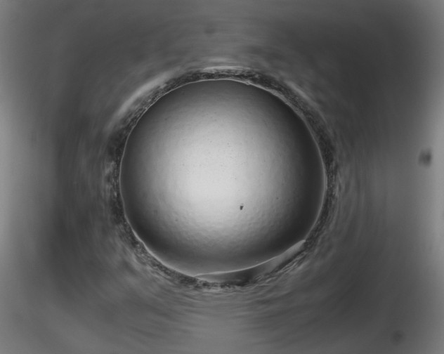 X0000116761351200912241134