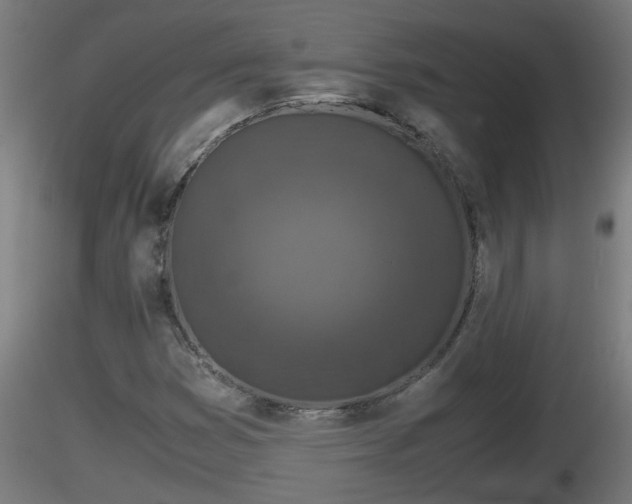 X0000116761353200912241134
