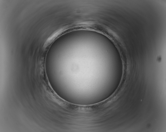 X0000116761354200912241134