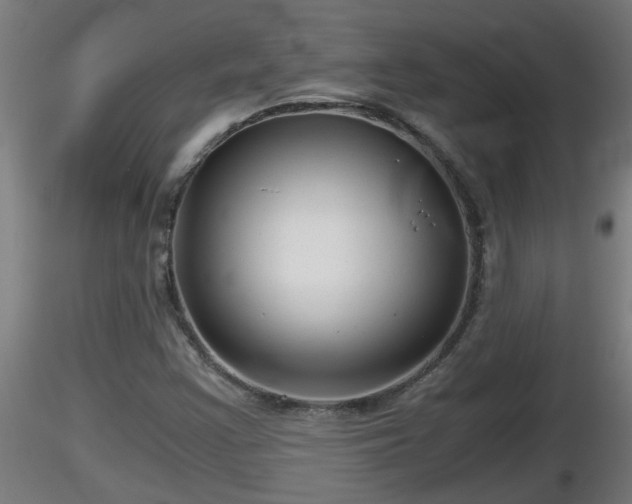 X0000116761355200912241134